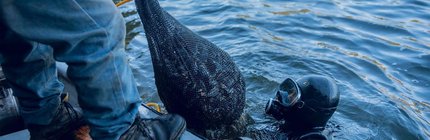 Buzo-faena-caleta-Corral