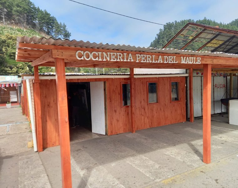 Capital Semilla Maule