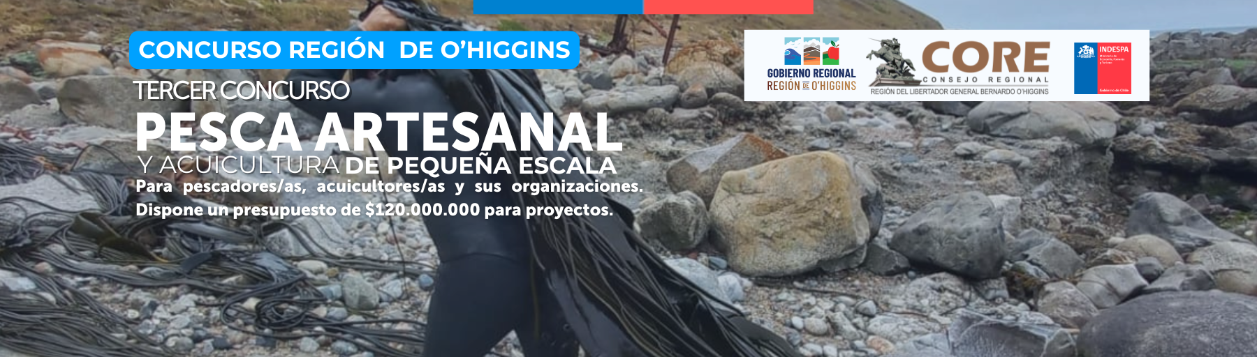 Nueva web 1800px (15)