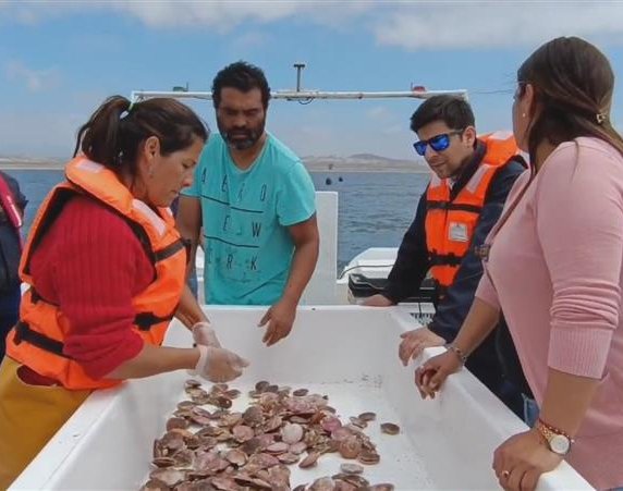 WhatsApp Image 2023-12-14 at 4.22.36 PM (1)