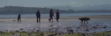 isla tenglo recolectoras